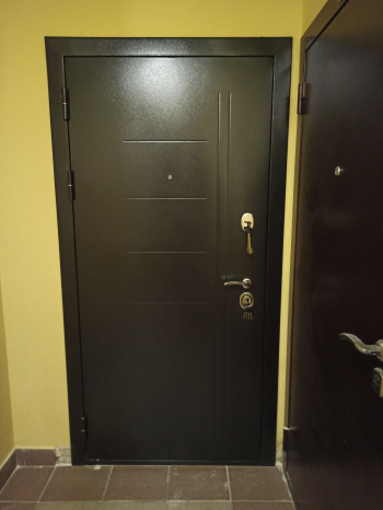 Фото Двери с порошком №127